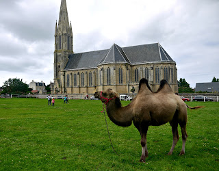 zoo, church