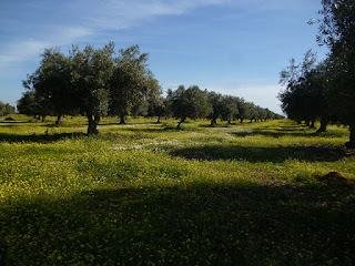 Meseta de El Cañejal