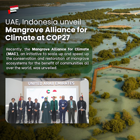 Mangrove Alliance