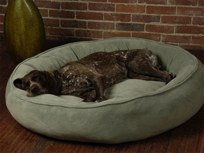 Pet Beds