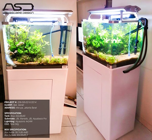 Aquascape Design Meja  Aquarium  BOYU Tank Style
