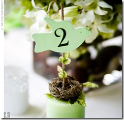 garden theme (45)