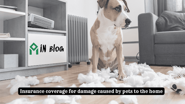 Insurance coverage for damage caused by pets to the home