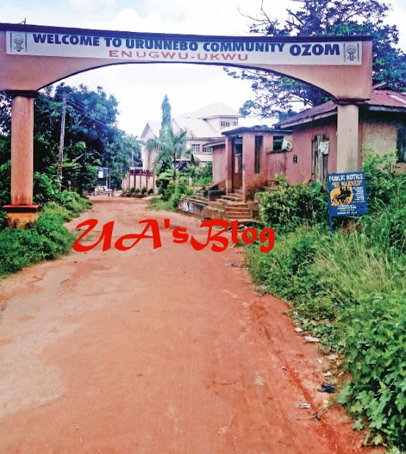 Inside The Anambra Town Where Human Beings And Huge Pythons Live In Harmony (Photos)