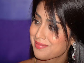 Hot Shriya Saran Photos Pics Wallpapers