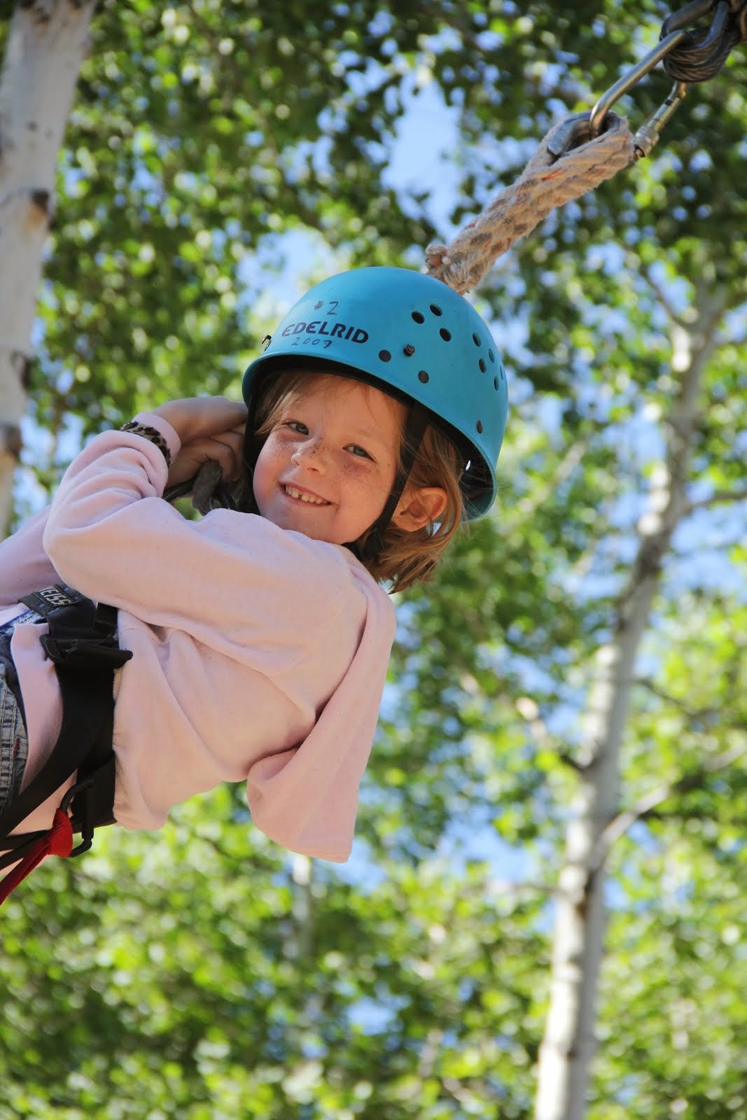 Swinging in the Trees