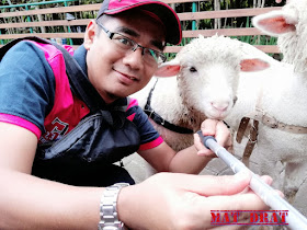 Bercuti Bandung Floating Market Kota Mini Lembang