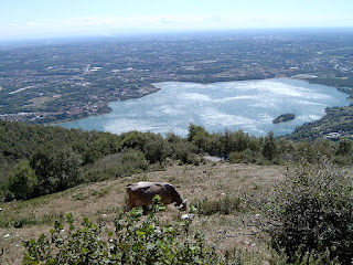 A view across Lake Pusiano taken from the  upper slopes of Monte Cornizzolo