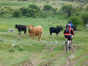 Unas fotos de nuestra ruta de Ávila a El Escorial - Junio 2013