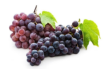 Beragam Khasiat Buah Anggur untuk Kesehatan - Berikut adalah beberapa manfaat atau khasiat dari senyawa yang ada di dalam buah anggur.    Khasiat Buah Anggur. Walaupun harganya lumayan mahal dibandingkan dengan buah lain, buah anggur memiliki beberapa khasiat yang baik untuk kesehatan, seperti berikut.  1. Pencegahan penyakit kanker  Di dalam buah anggur terdapat senyawa yang disebut resveratrol.  2. Mencegah penyakit jantung  Penyakit jantung menjadi salah satu yang paling ditakuti.  3. Mengobati masalah saluran pernafasan  Masalah pada saluran pernafasan seperti asma membutuhkan penanganan yang cepat. Buah anggur ternyata juga memiliki manfaat untuk mengobati masalah pernafasan atas.  4. Melancarkan saluran pencernaan  Khasiat lain dari buah anggur untuk kesehatan adalah membantu melancarkan saluran pencernaan. Buah anggur memiliki cukup serat yang baik untuk pencernaan.  Buah anggur bisa menjadi pilihan tepat untuk Anda yang sering mengalami lelah, letih, atau lesu.  6. Membantu meningkatkan kesehatan organ ginjal  Satu lagi manfaat dari buah anggur untuk kesehatan. Buah anggur terutama anggur merah sangat efektif untuk membuang zat asam yang tidak baik bagi ginjal.
