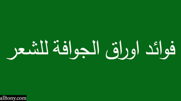 فوائد اوراق الجوافة للشعر 