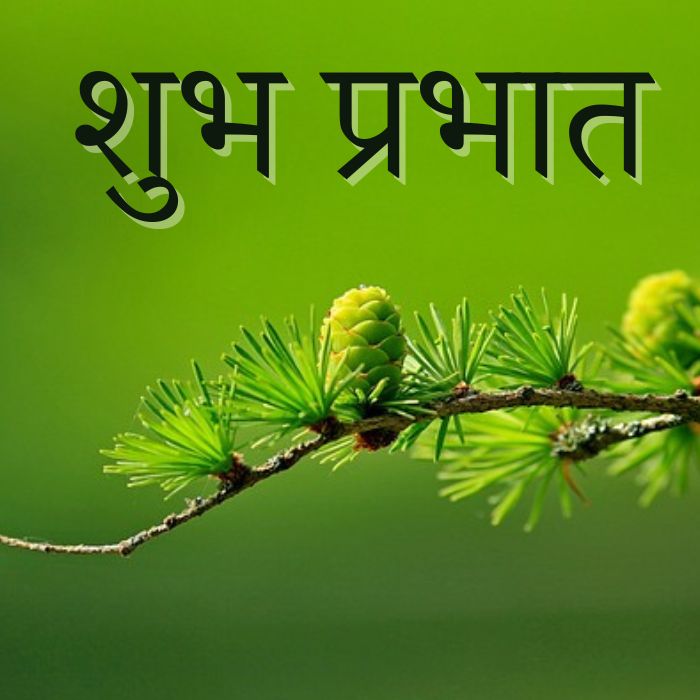 Subh Prabhat Images