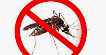Memberantas Jentik Nyamuk Perilaku Hidup Bersih dan 