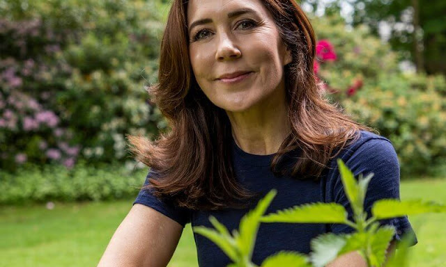 Crown Princess Mary wore a new olive-green cotton sateen straight trousers by Polo Ralph Lauren