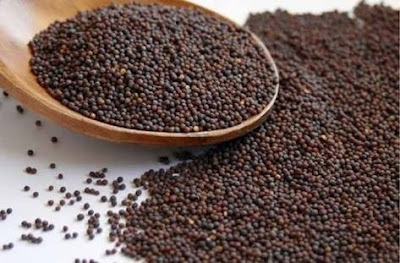 Benefits of MUSTARD Against Medicines