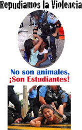 No son animales