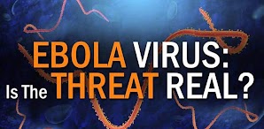 Ebola : Definition of Ebola virus 