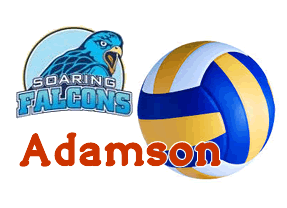 List of Adamson Soaring Lady Falcons Volleyball Team Lineup 2015 UAAP Season 78