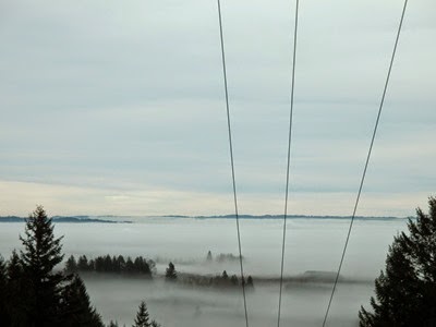 IMG_0468p
