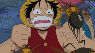 ワンピース アニメ 150話 ルフィ Monkey D. Luffy | ONE PIECE Episode 150