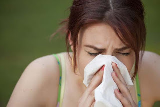 Bagaimana Cara Mengetahui Gejala Alergi Ragweed Pada Tubuh Kita