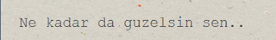 tumblr mesaj kutuma dusenler 6