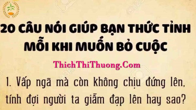 20 Câu Nói Đơn Giản Sẽ Khiến Bạn Thức Tỉnh Mỗi Khi Muốn Bỏ Cuộc