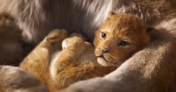 Watch The Lion King 19 Movie Trailer Cast Production Music