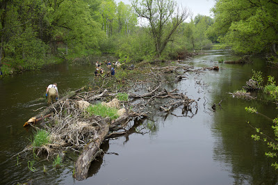 Michigan DNR: Improving habitat on the Au Sable River's North Branch