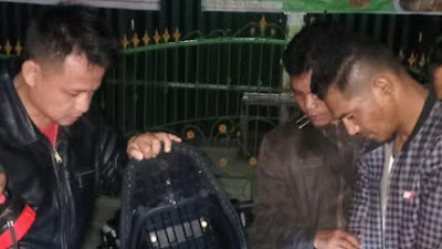 Polisi Kembali Amankan Satu  Orang Pengedar Narkoba Jenis Shabu