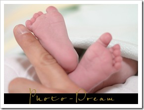 DVM_1480 copy