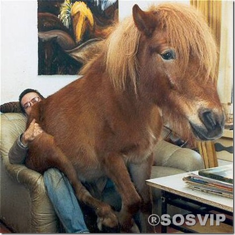 Criativas Photoshop.jpg (3)