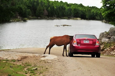 tuning a car