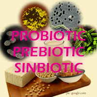 Pengertian Probiotik, Prebiotik dan Sinbiotik