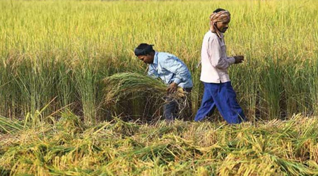 बटाईदार के लिए इमेज परिणाम