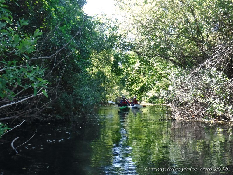 Kayak río Palmones