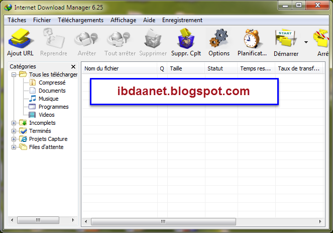 Internet Download Manager