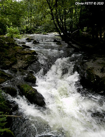 GERARDMER (88) - Le Saut des Cuves