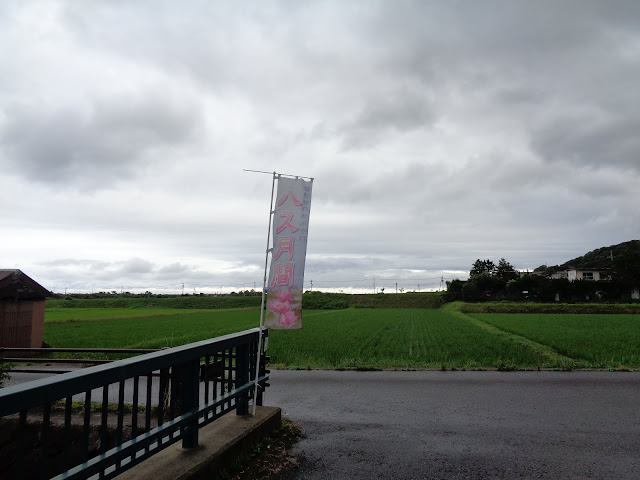 伯耆古代の丘公園のハス月間の旗