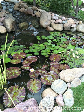 lily pads