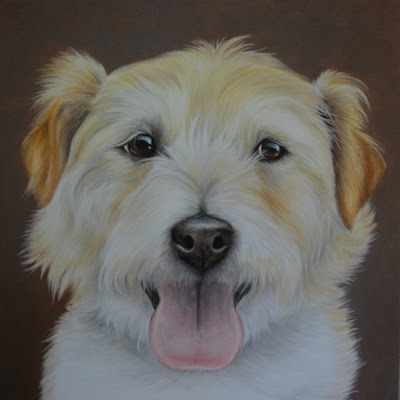 Pet Portrait Oil on Canvas Jack Russell Wire Haired