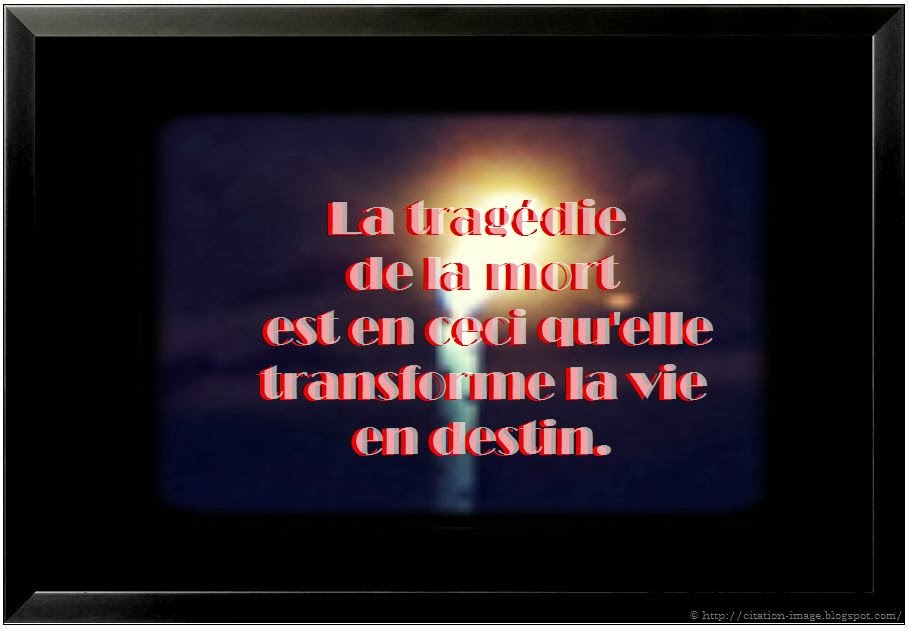 Citation en image : photo citation