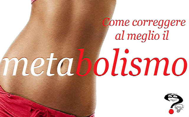 metabolismo