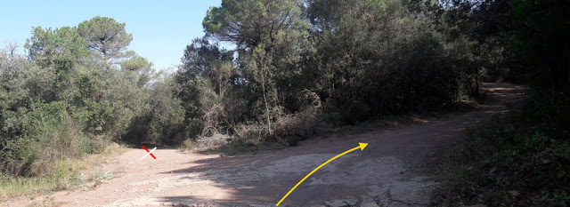 GR-7 Coll de la Teixeta a Arbolí, Camí de l'Arena de la Vall