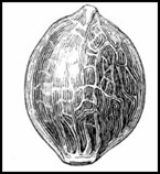 clip_image002[5]
