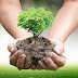 World Environment Day 2017