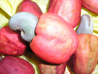 Cashew Fruit