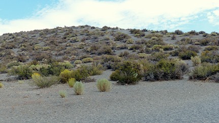 P1050062
