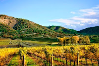 Best US Honeymoon Destinations - Napa, California