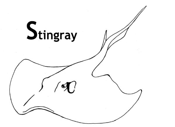 Sea Animal Stingray Coloring Pages For Kids